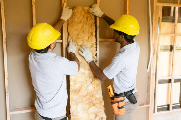 Best Basement Insulation  in Lukachukai, AZ